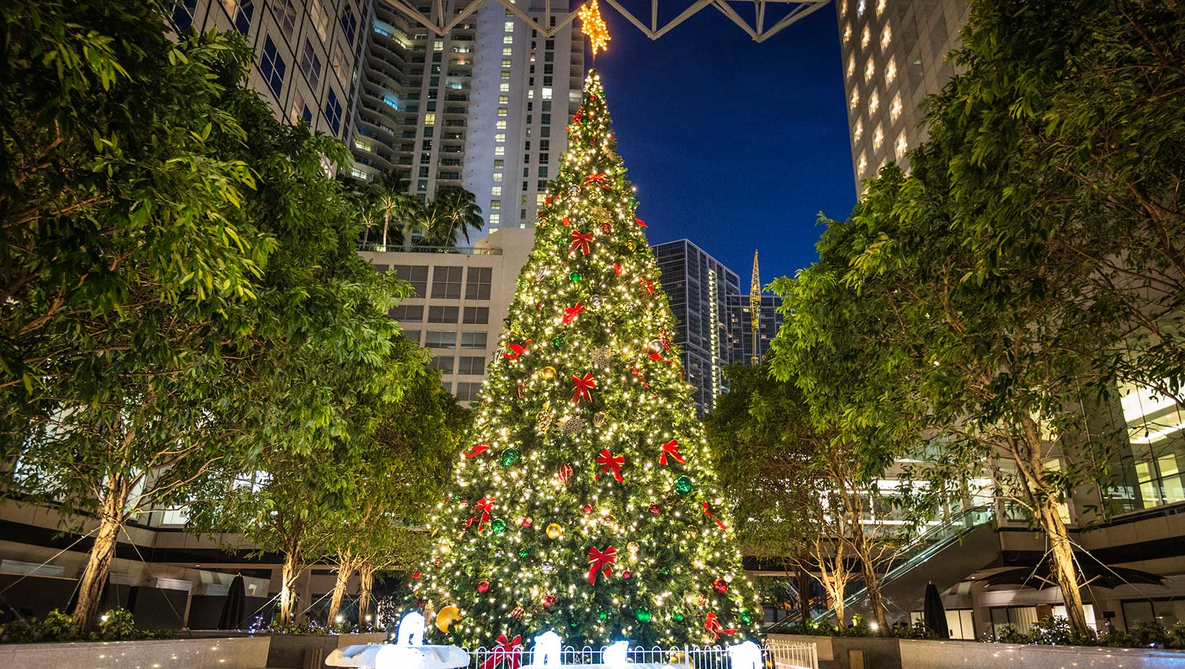Christmas Tree in Miami